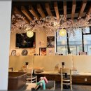 광교카페거리 이미지