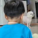 영진문구사 - 영광군 중앙로 214-3 | 영진문구사