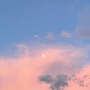 도평 스테이 이미지