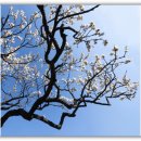 김해건설공업고등학교 이미지