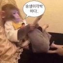 에어부산 나트랑행 787편 비상구좌석 후기(+깜란공항 패스트트랙)