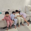 안동봉화축협동물병원 | 은깨비 육아일기 2950 ~ 2956 2학년 겨울방학 시작, 육아휴직