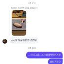 세영팰리스 | 바이 2025, 크리스마스트리 사냥 성공