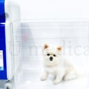 한결메디칼 이미지