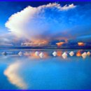 빛과소금 이미지