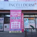 인셀덤구미