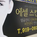 에셀스킨케어 네이버블로그