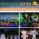서귀포여행코스 제주가볼만한 곳 허브동산 레이져쇼 족욕체험 선물