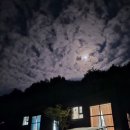 진안 hami숲 이미지