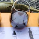 [호주] 브리즈번 근교 와이너리 시음 + 음식 후기 : Sirromet Winery (기대보다 훨씬 좋았던 곳♡강추!)