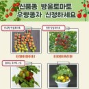 우량 - 동구 중앙대로371번길 25 | 우량