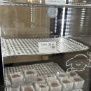 몽실 | [노원]두바이쫀득쿠키 파는곳 몽실디저트 솔직후기