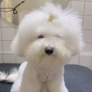 물개스테이 이미지