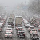 빛고을대로 이미지