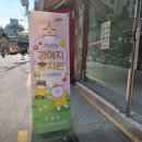 망원견 애견유치원&애견호텔 이미지