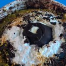 설빙 하남시청점 | [설빙 신메뉴 후기] 두바이초코설빙 솔직 리뷰 - 두바이초콜릿 덕후 강력 추천!