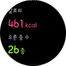 치킨타임 이미지