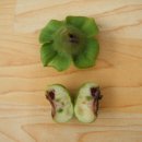 농장 천지인 이미지