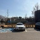 선영애견샵 | 2월 일상 ㅣ 요월데이 ㅣ 성심당우유롤 ㅣ 불닭볶음탕면 ㅣ 비발디파크스키장 ㅣ 겨울스키 ㅣ 용인셀프...