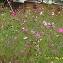 대송면 용암사 이미지