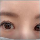 아틱폭스
