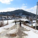 면천초 죽동분교 Daum카페
