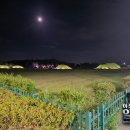 말무덤 | 경주에 왕릉이 이렇게 많은 진짜 이유 - 조선 후기가 만든 ‘위장된 무덤’의 미스터리