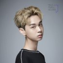 모조 이미지