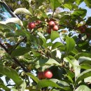 활주로낚시터 이미지