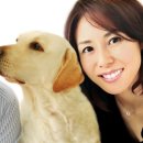 올어바웃도그 이미지