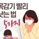 목감기 증상 및 원인과 빨리 낫는법 5가지 : 인후염 이미지