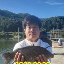 신원대로-9 이미지