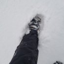 곰배령 주니네 이미지