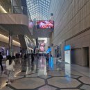 엑스포로터리 | ☕ 2026 서울커피엑스포 현장 후기 | 홈카페 장비·머신 구매 포인트 총정리