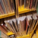 상기곡(고경)3 | [후기] 20251129 brainchild’s TOUR 2025 THE MEMORIAL in 후쿠오카 DRUM Be-1