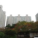 대화부동산 공인중개사사무소 이미지