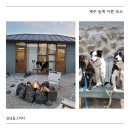 김녕을 그리다 이미지