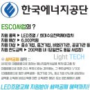 금조명