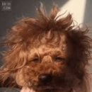 우진유통 이미지