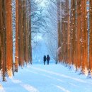 전국카랜드 이미지