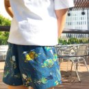 일본 오리지널 노스페이스 버서틸 팬츠 ( north face versatile short.) 버클리 켈리포니아 USA 티셔츠 이미지