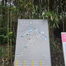 양양 낙산사 칠층석탑 | 동해바다를 품은 관음성지, 양양 낙산사 여행 후기 (주차, 입장료, 필수코스 완벽정리)