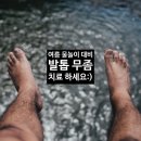 카모마일의원 이미지