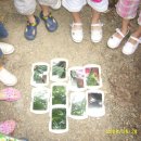 삼성열린생태 어린이집 이미지