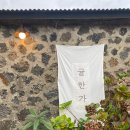 ㅣ제주여행ㅣ한림 가볼만한 곳 귤따기 체험,귤밭 스냅사진, 협재 카페 귤한가 메뉴추천 내돈내산 후기
