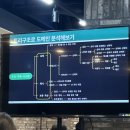 영은물류 | Spring Camp (2025) 후기