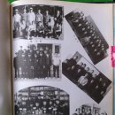 금릉중학교 | 금릉중학교(김천)17회