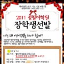 스카이윙 이미지