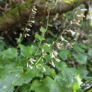 일월민박 이미지