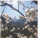 지리산터널펜션 이미지